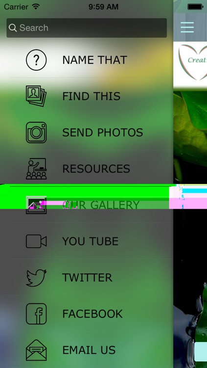 Let's go pond dipping