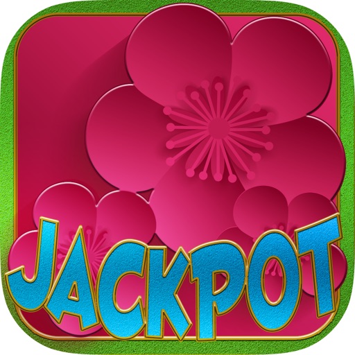 ``` 2015 ``` AAA Aaba Flowers Jackpot and Roulette & Blackjack!