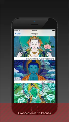 Game screenshot BuddhaPik hack