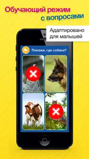 Звуки животных, транспорта, музыкальных инструментов и многое другое в smart baby touch hd - развивающие карточки для детей айфон картинки 3