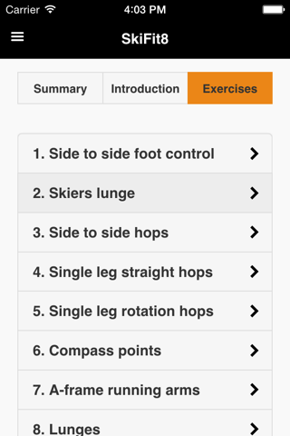 SkiFit8 screenshot 2