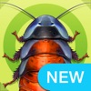 iBugs Invasion — バグキック - 昆虫ゲームを子供のための：カエル、蟻、蜘蛛、ムカデ＆蝶を