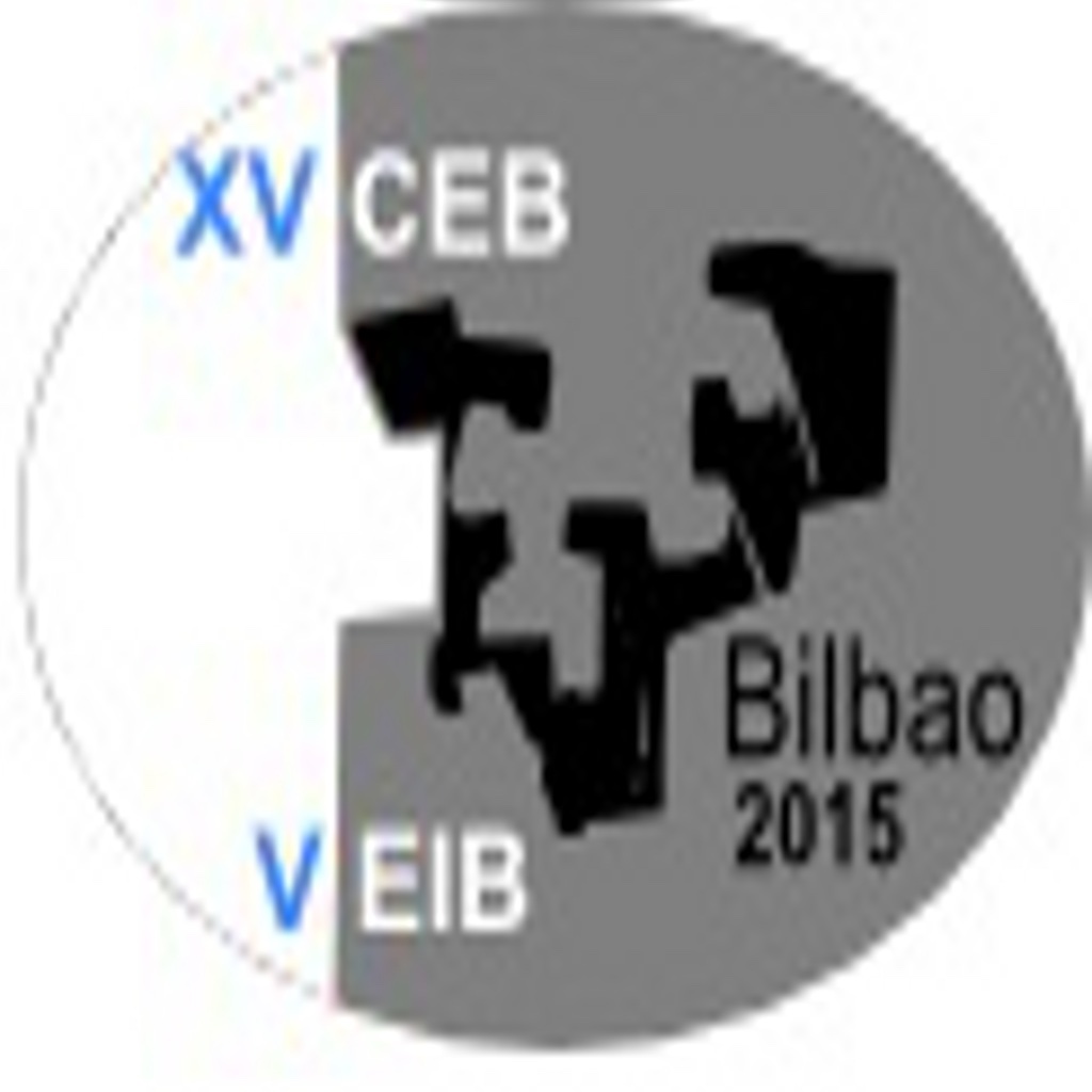 CEB-EIB 2015 icon