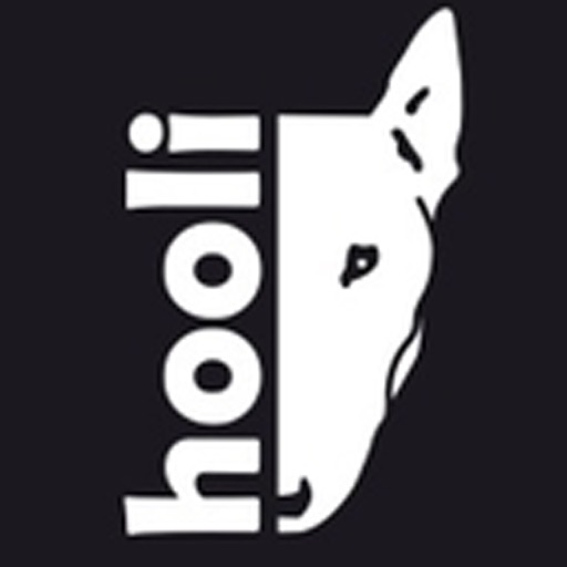 Hooli 3D Icon