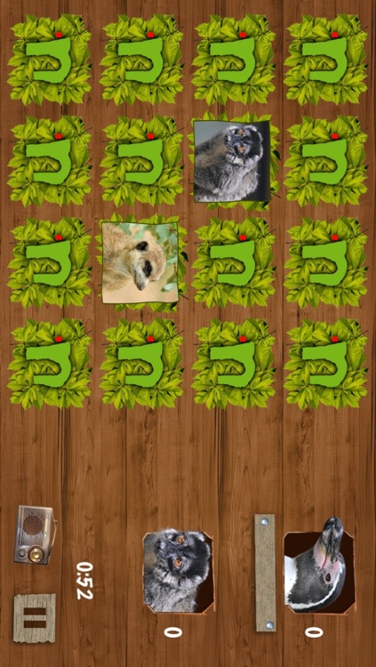 Memory Games with Nuremberg ZOO FREE for preschool children, schoolchildren and adults