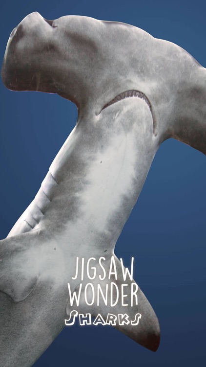 Shark Puzzles for Kids Jigsaw Wonder Collection screenshot-3