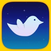 Amazing Bird - a cool free addicting game for boys, girls, teens and adults