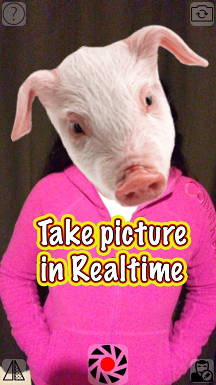 Animal Cam - Swap your face with the head of funny animals such as: cats, dogs, bears, pigs, wolfs, fish or birds from your camera screenshot-0