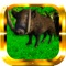 Boar Hunter Gold