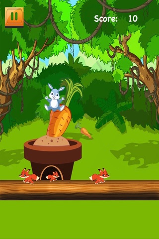 A Fun Forrest Bunny Bounce - Magical Pet Jump Challenge FREE screenshot 3