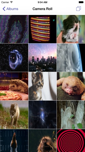 GifBox - Animated Gif Library Player(圖5)-速報App
