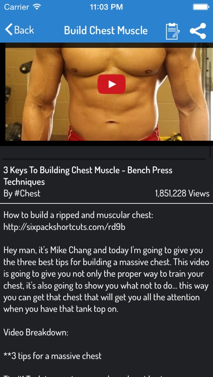 Muscles Building Guide