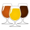 Beer Tasting Guide