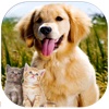 Kittens and Puppies Sliding Puzzle Pro