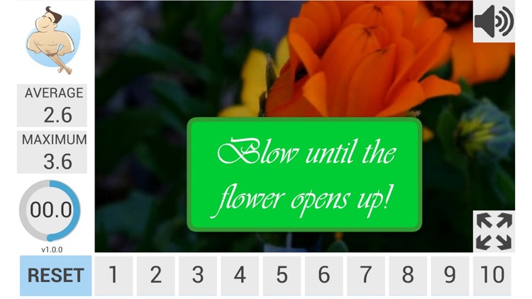 Flowers (Breathing Games)