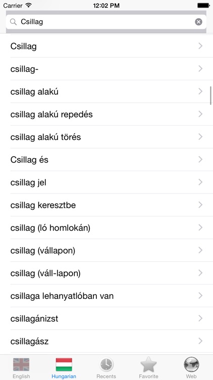 English Hungarian best dictionary translator -Angol Magyar legjobb szótár fordító screenshot-4