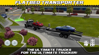 Car Transport Truck Parking Simulator screenshot 4