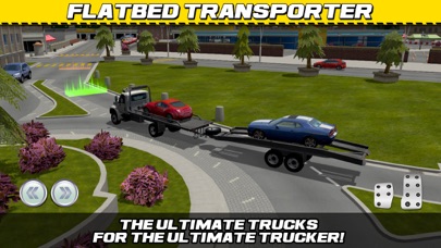 Screenshot from Car Transport Truck Parking Simulator - Real Show-Room Driving Test Sim Racing Games