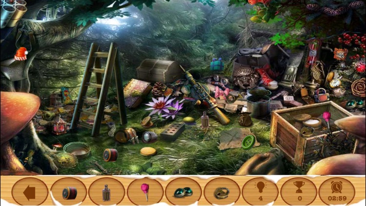 Domestic Mystery Hidden Objects