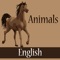 Animals | English