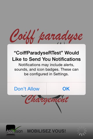 Coiff' Paradyse screenshot 4