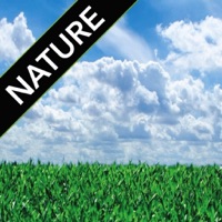 Nature Sounds FREE  PC 용