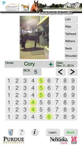 Game screenshot HorseBCS apk