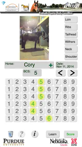 Game screenshot HorseBCS apk