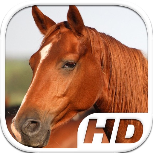 Horse Simulator HD Animal Life icon