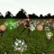 This App is a 3D maze garden