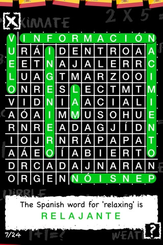 Spanish Vocab Word Search screenshot 2