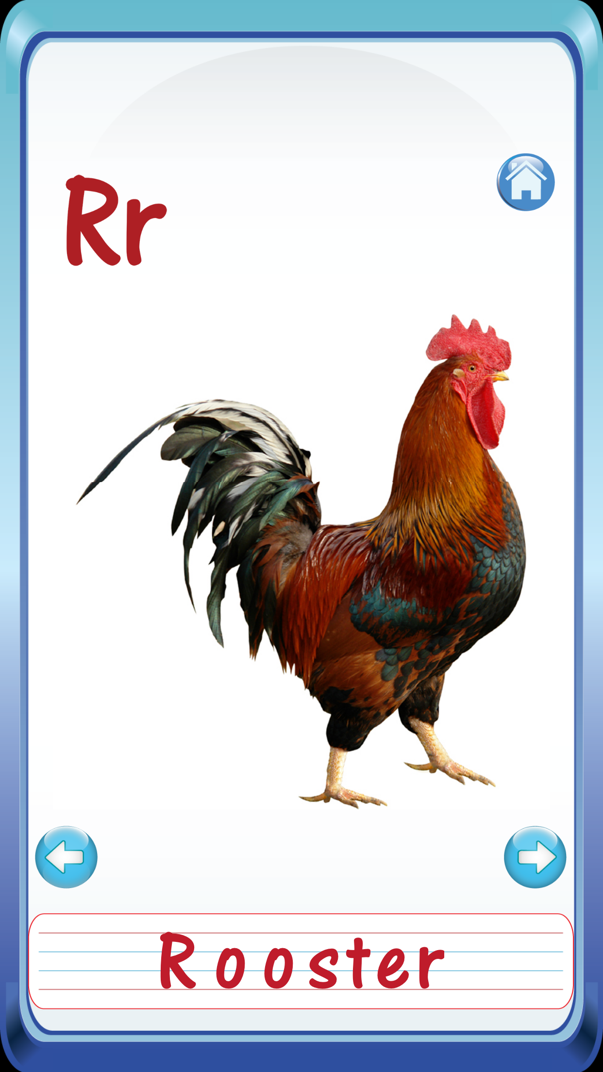 Baby Animals & Birds English ABC Alphabets Flash Cards for preschool kindergarten boys & girls apps screenshot 3