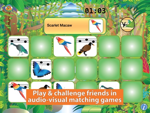 Nature Maestro Rainforest Day screenshot 4