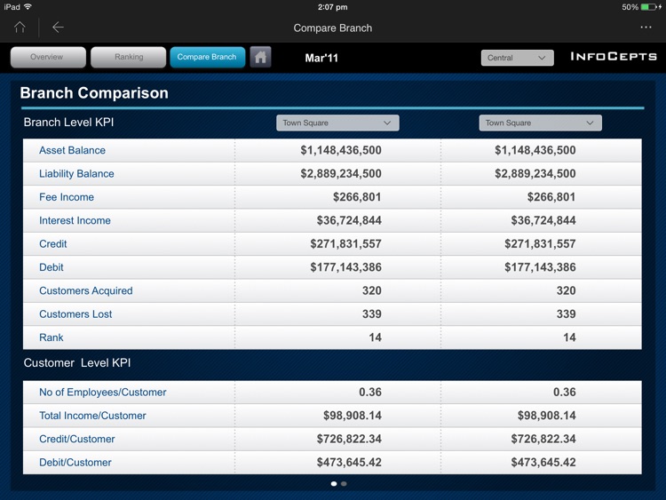 Branch Performance Analysis screenshot-3