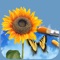 Distort, cutting,color,beautify, and stylize your pictures