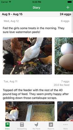 FlockPlenty - Chicken Egg Tracker screenshot 1