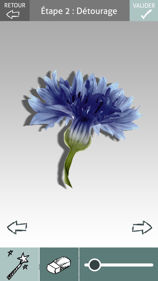Digital Herbarium