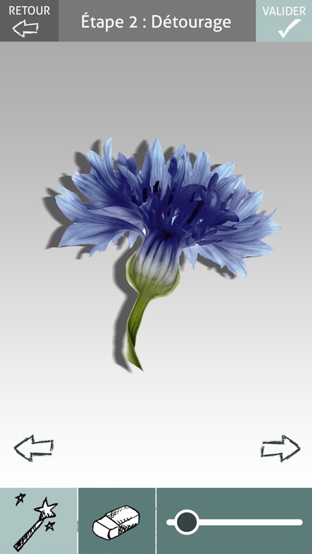 Digital Herbarium screenshot 4