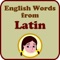 Spelling Doll English Words From Latin Vocabulary Quiz Grammar