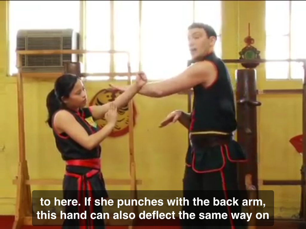 Wing Chun Techniques