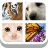 Close Up Animals 2015 - Guess the Zoo, Farm or Pet Pics Trivia Quiz Free by Mediaflex Games