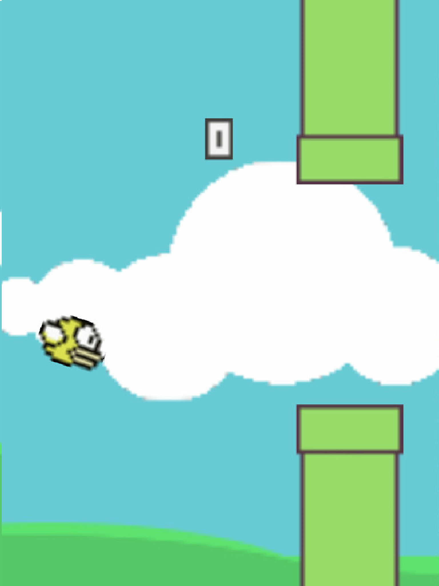 Dubstep Bird