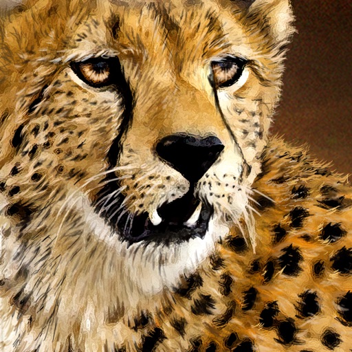 Cheetah King Kafue Icon