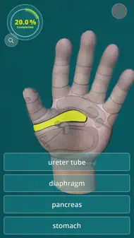 Reflexology Quiz - zones iphone bilder 1