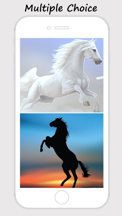 Horse Wallpapers and Backgrounds screenshot-3