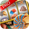 Splendid & Vivid Nautilus Pro - For Junkies of Prismatic Clams Barnacles Mussles & Other Oceanic Seashell