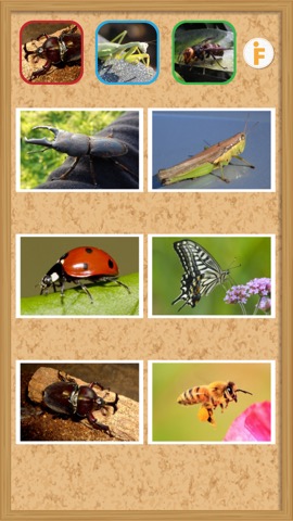とびだす昆虫園-ムシ図鑑のおすすめ画像1