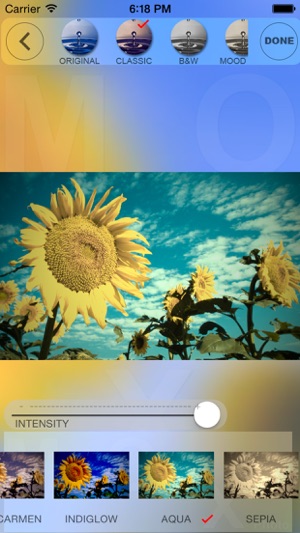 MoxPhoto(圖5)-速報App
