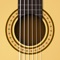 Play a digital touch guitar on your iPad