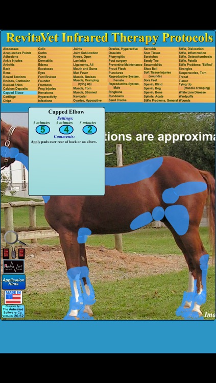 Revitavet Infrared Therapy Protocols